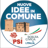 Simbolo Partito NUOVE IDEE IN COMUNE - PSI - SCELTA CIVICA